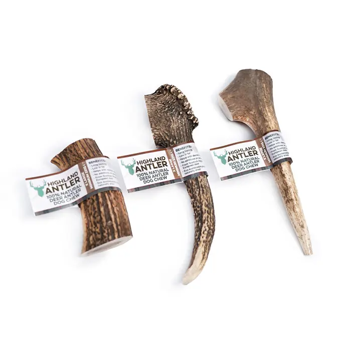 Koeramaius Antler naturaalne hirve sarv XL