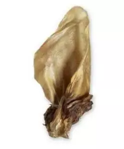 veisekõrv