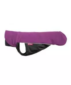 jumppa-pomppa-ploom