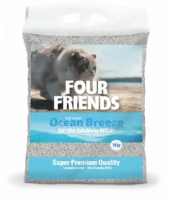 kassiliiv-four-friends-ocean-breeze