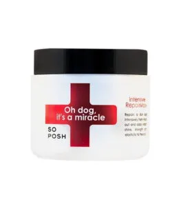 So Posh intensiivne karvahooldus mask koertele Oh dog, it´s a miracle