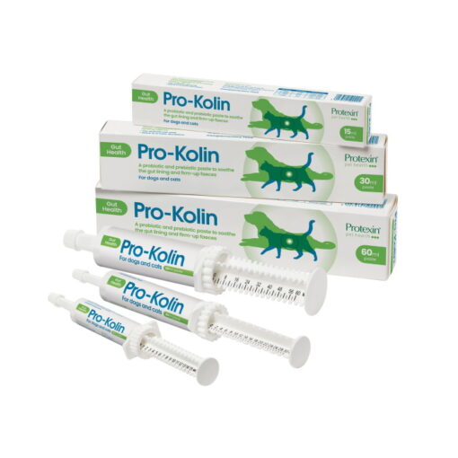 Pro-Kolin probiootiline pasta soolestiku kaitseks