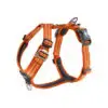 dog-copenhagen-comfort-walk-air-traksid-2020-orange