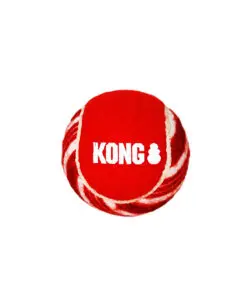 Kong Holiday SqueakAir pallid S