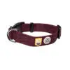 Woolly Wolf kaelarihm koertele, Juicy Plum