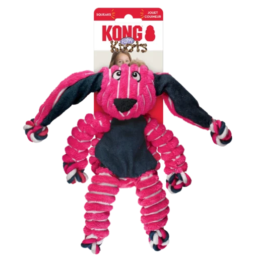 KONG koerte mänguasi Floppy Knots Bunny-2