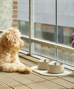 Dog Copenhagen kauss Vega Bowl Caffe Latte-4