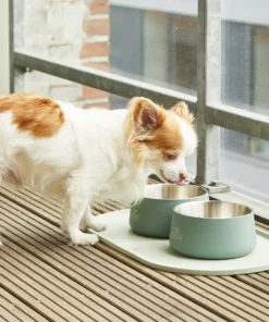 Dog Copenhagen kauss Vega Bowl Mint