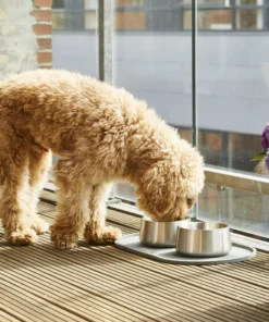 Dog Copenhagen kauss Vega Bowl Steel