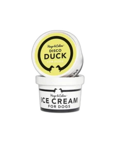 Hugo Celine Jaatis Koertele Pardilihaga.webp