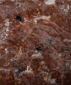 Top Dog Tasakaalustatud Toortoit Koertele More Chicken 3kg 1.jpg