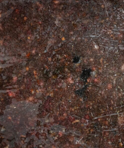 Top Dog Tasakaalustatud Toortoit Koertele More Smell 3kg 1.jpg