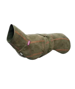 Woolie Olive