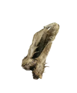 Metskiteskõrv Karvane (1) (1)