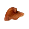 Seakõrv