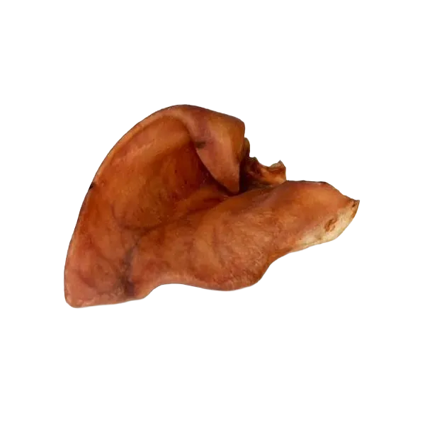 Seakõrv