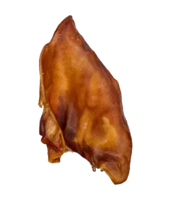 Seakõrvxxl