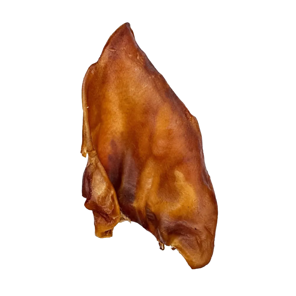 Seakõrvxxl